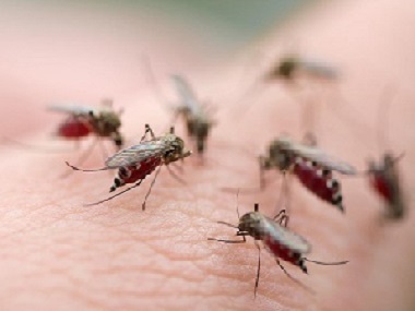 金沙害虫消杀中心：消灭蚊虫的办法有哪些