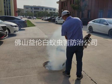 盐步登革热防控消杀工程