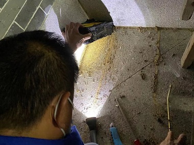 大沥专业治白蚁机构厂房仓库有白蚁怎么消杀？佛山本地资质齐全的灭白蚁公司推荐